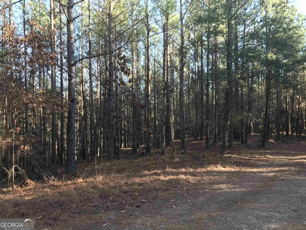 0 Redbud RD NE Ranger, GA 30734