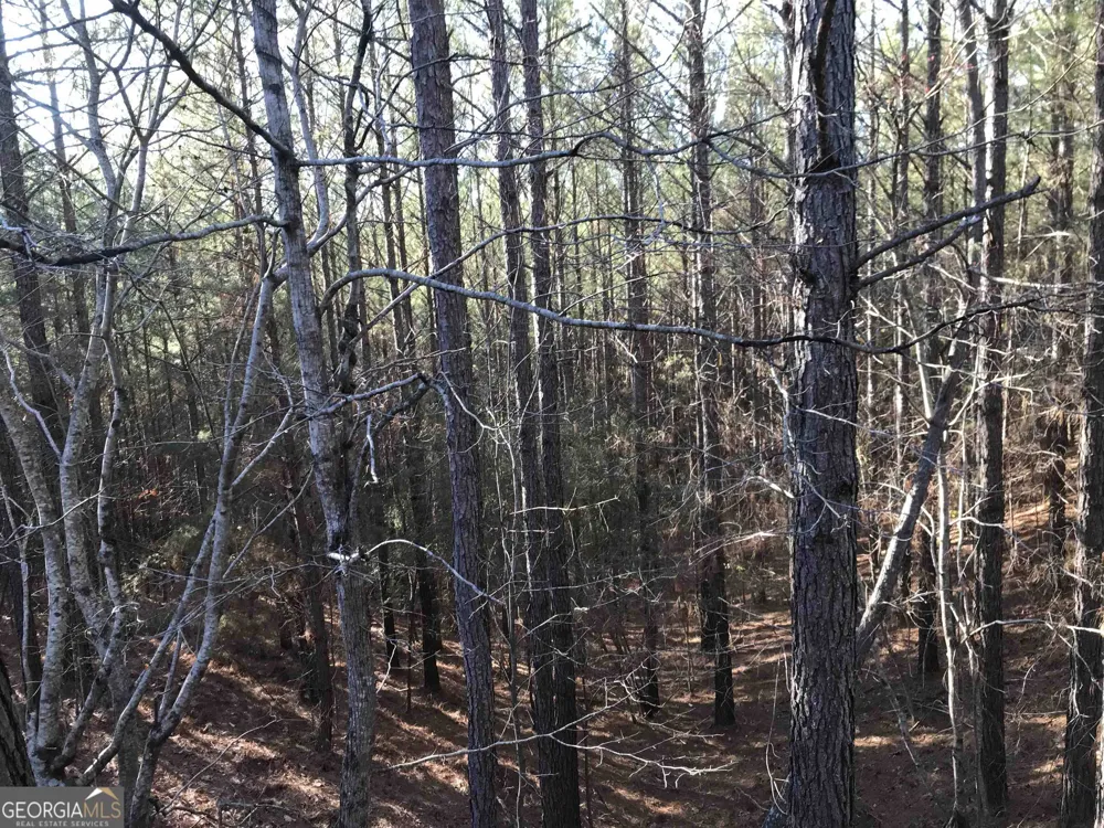 0 Redbud RD NE Ranger, GA 30734