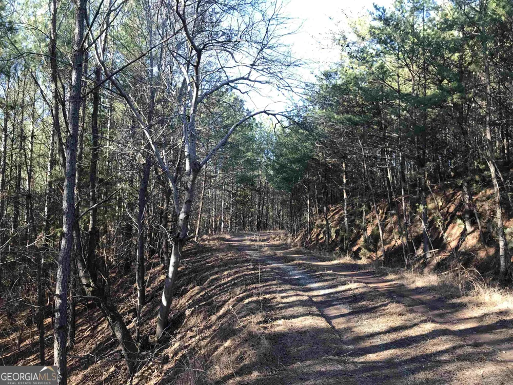 0 Redbud RD NE Ranger, GA 30734