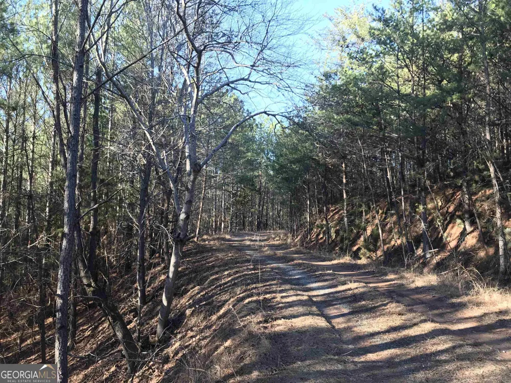 0 Redbud RD NE Ranger, GA 30734
