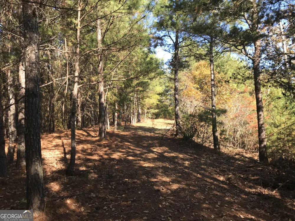 0 Old Oakman RD NE Ranger, GA 30734