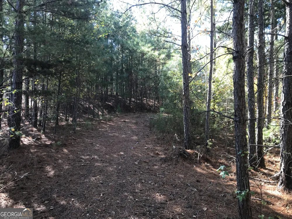 0 Old Oakman RD NE Ranger, GA 30734