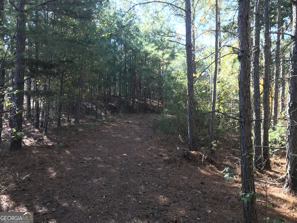 0 Old Oakman RD NE Ranger, GA 30734