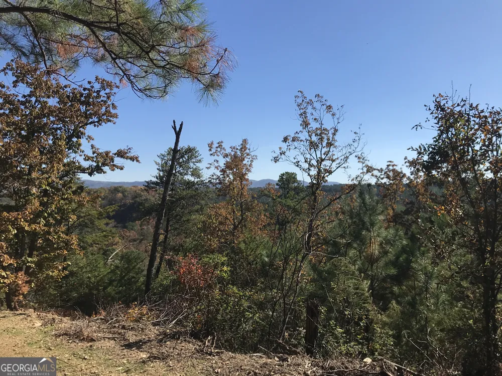 0 Old Oakman RD NE Ranger, GA 30734