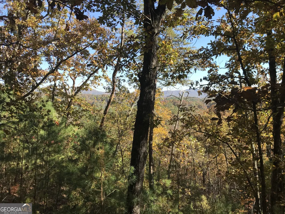0 Old Oakman RD NE Ranger, GA 30734