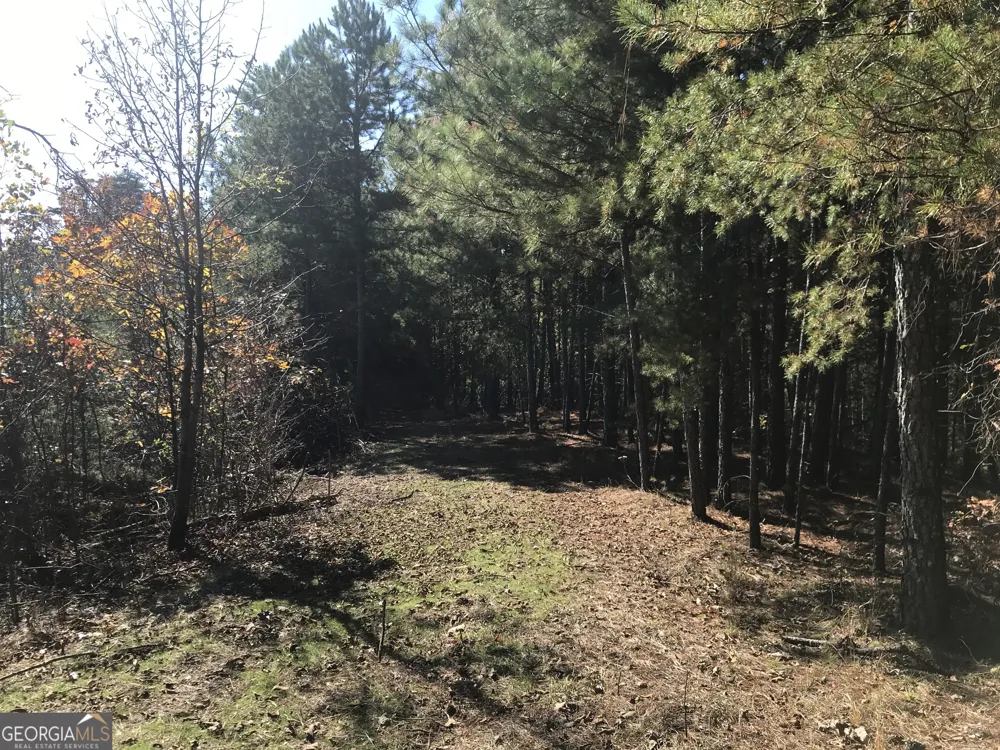 0 Old Oakman RD NE Ranger, GA 30734