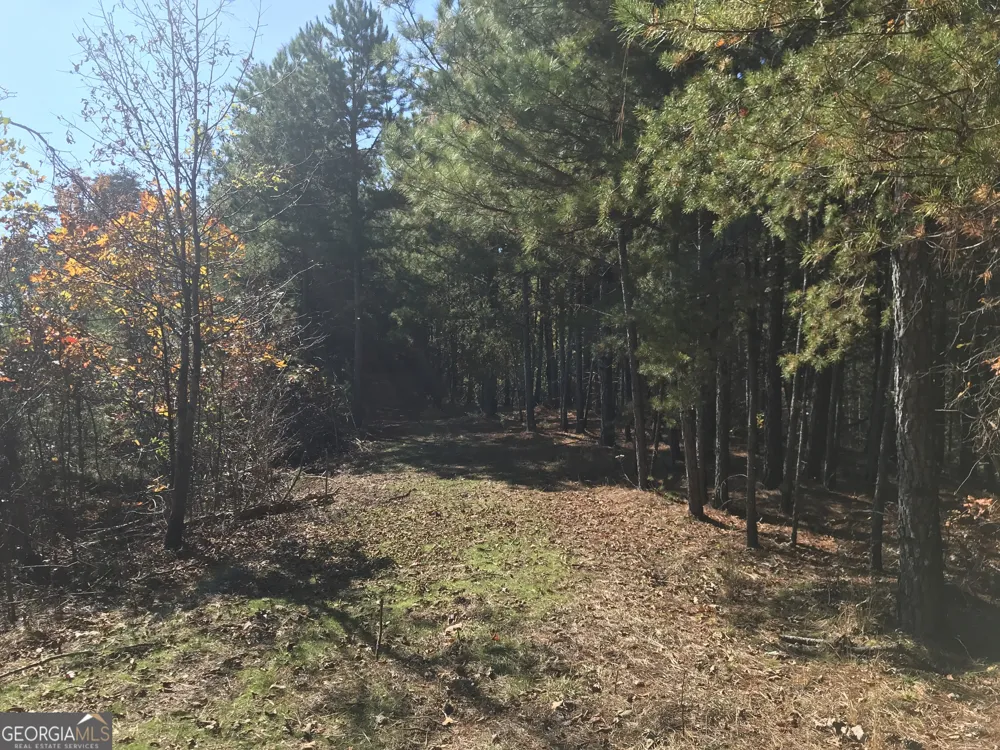 0 Old Oakman RD NE Ranger, GA 30734