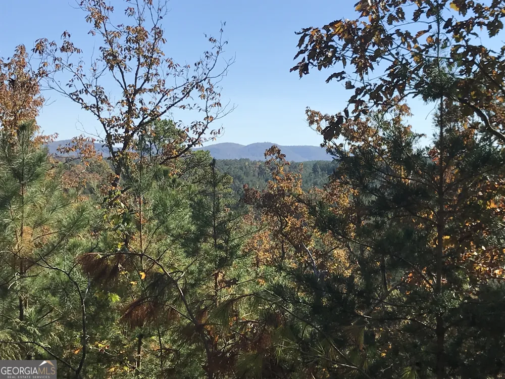 0 Old Oakman RD NE Ranger, GA 30734