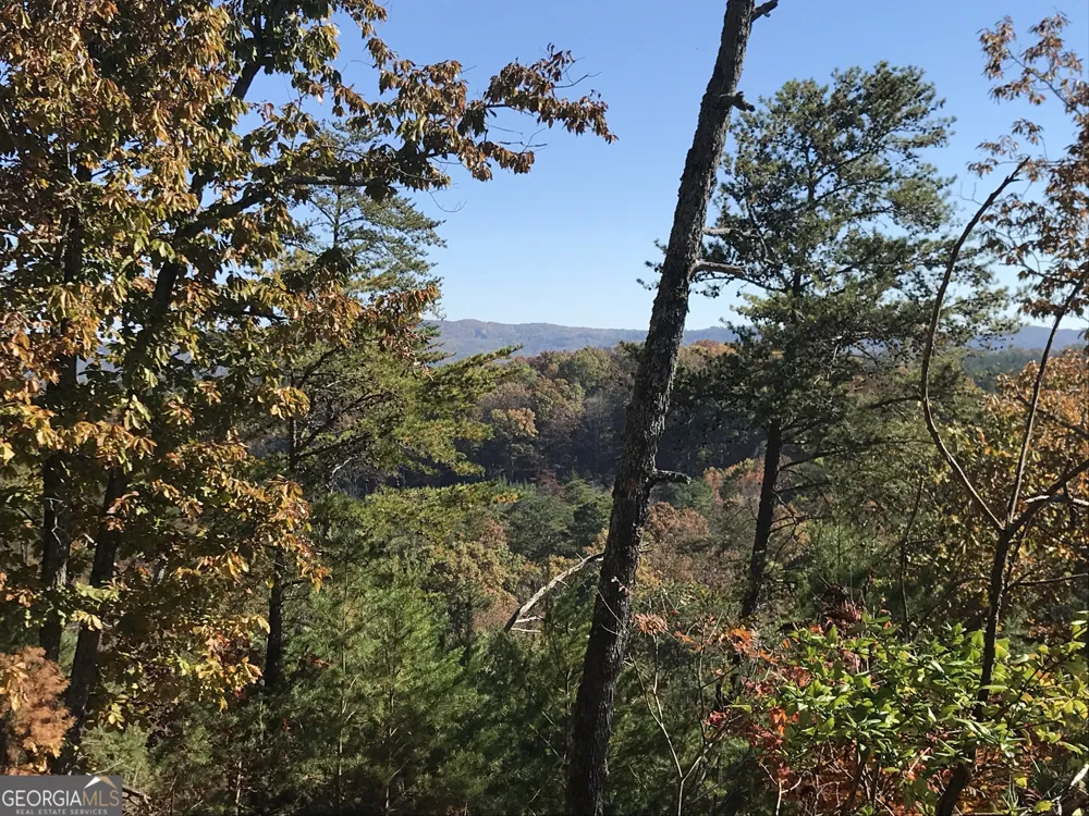 0 Old Oakman RD NE Ranger, GA 30734