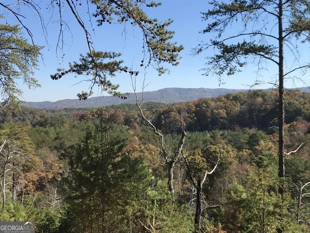 0 Old Oakman RD NE Ranger, GA 30734