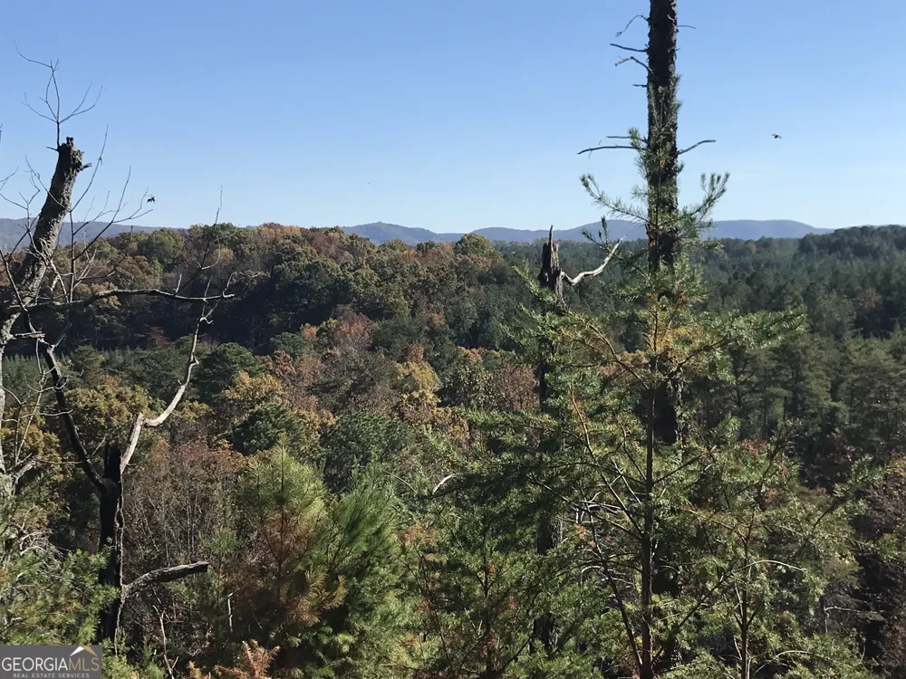 0 Old Oakman RD NE Ranger, GA 30734
