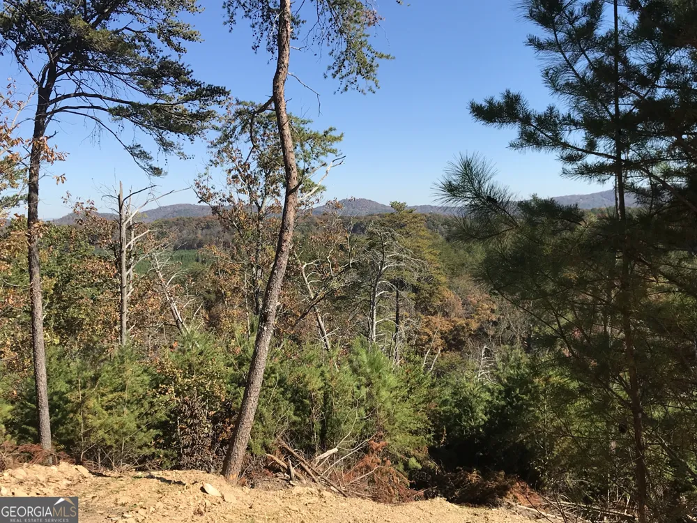 0 Old Oakman RD NE Ranger, GA 30734