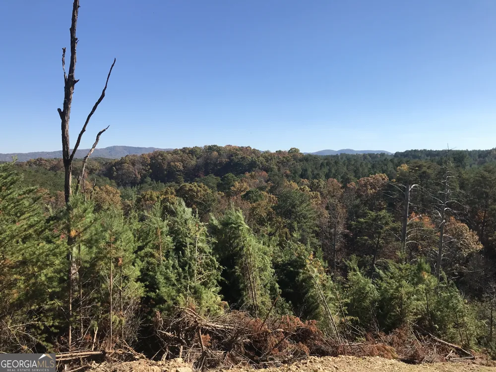0 Old Oakman RD NE Ranger, GA 30734