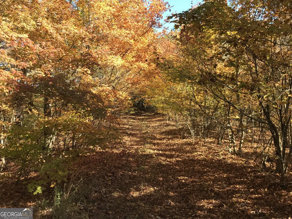 0 Red Bone Ridge RD Ranger, GA 30734