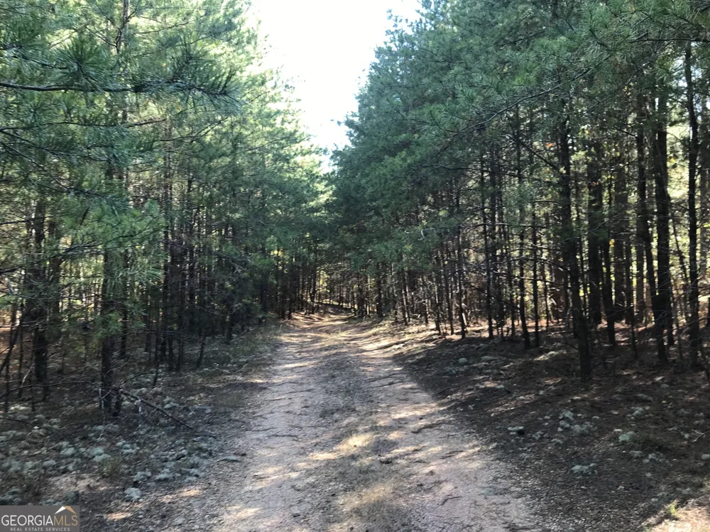 0 Red Bone Ridge RD Ranger, GA 30734