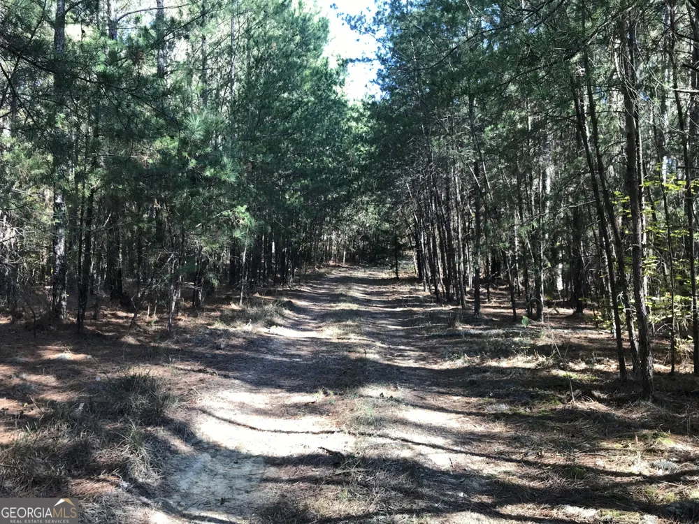 0 Red Bone Ridge RD Ranger, GA 30734