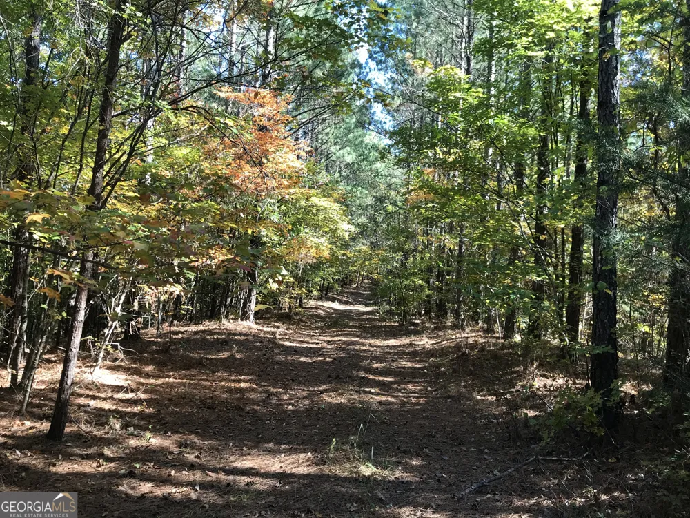 0 Red Bone Ridge RD Ranger, GA 30734