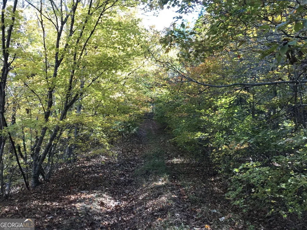 0 Red Bone Ridge RD Ranger, GA 30734