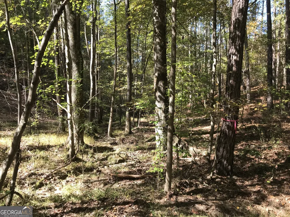 0 Red Bone Ridge RD Ranger, GA 30734