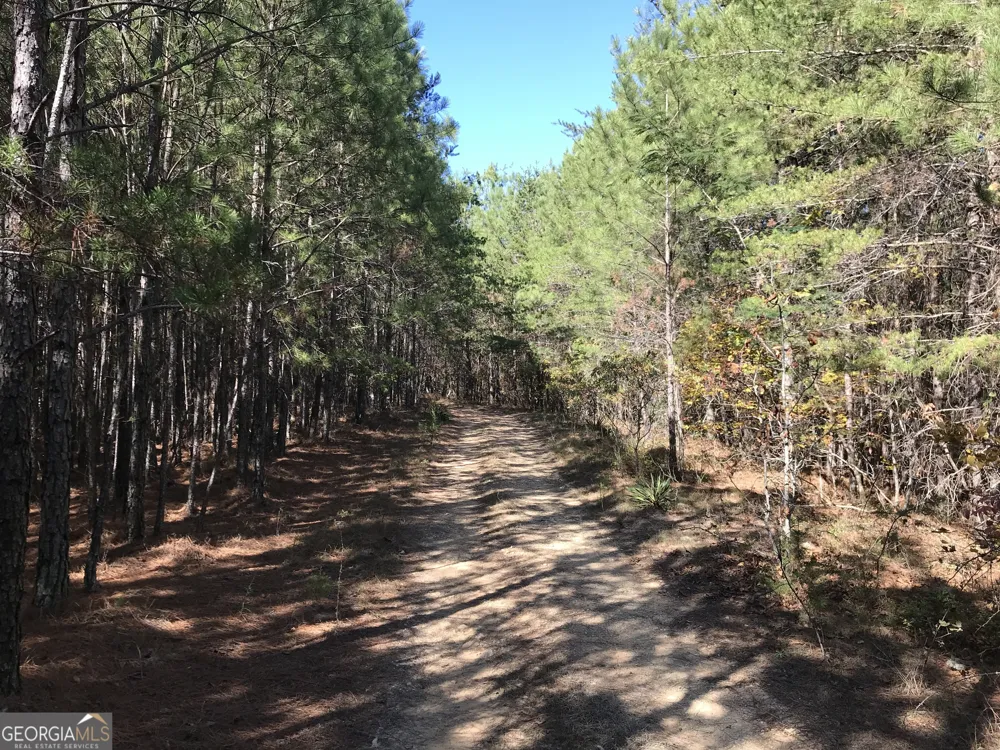 0 Red Bone Ridge RD Ranger, GA 30734