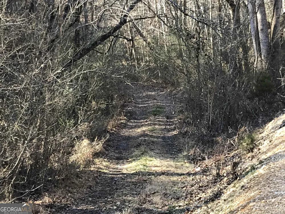 0 Liberty Church RD Ranger, GA 30734