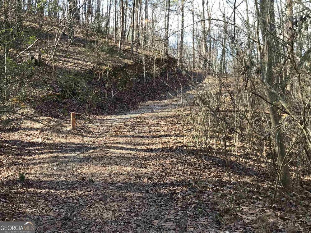 0 Liberty Church RD Ranger, GA 30734