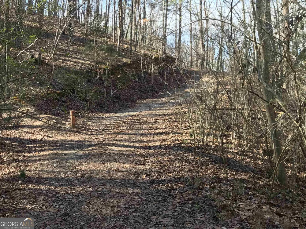 0 Liberty Church RD Ranger, GA 30734