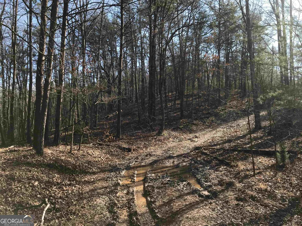 0 Liberty Church RD Ranger, GA 30734