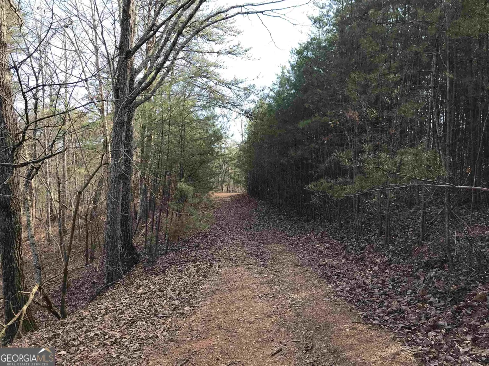 0 Liberty Church RD Ranger, GA 30734