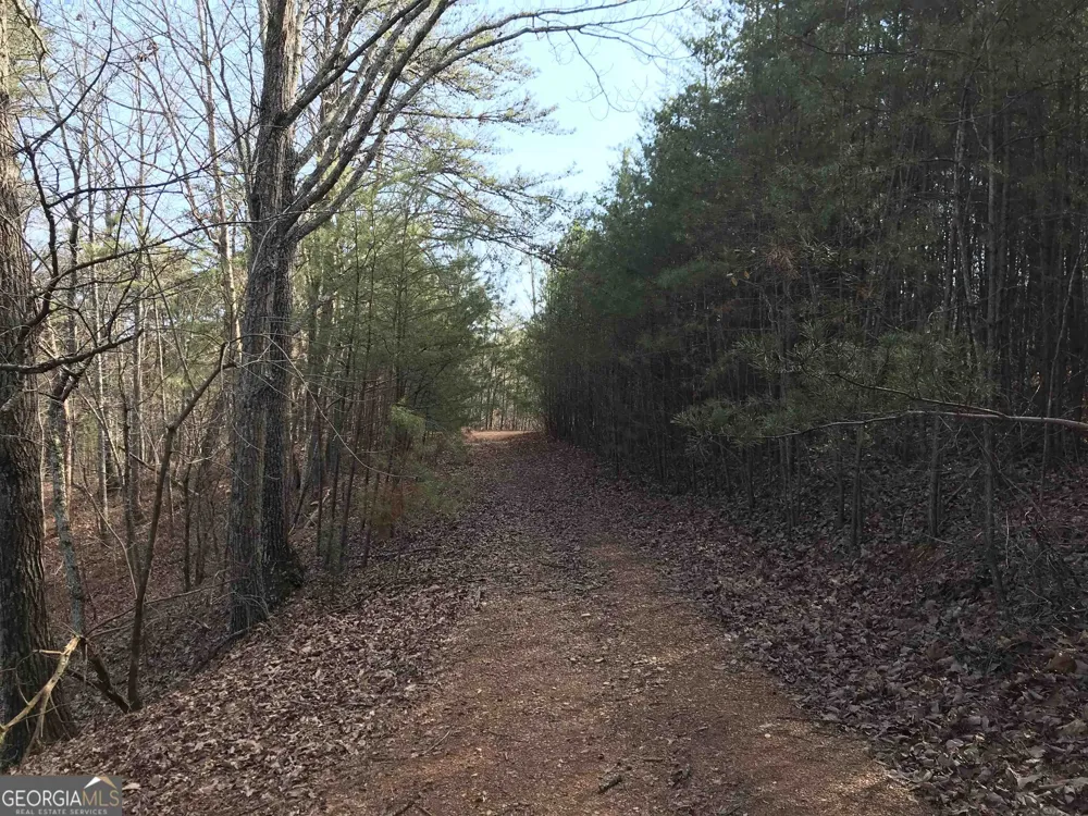 0 Liberty Church RD Ranger, GA 30734