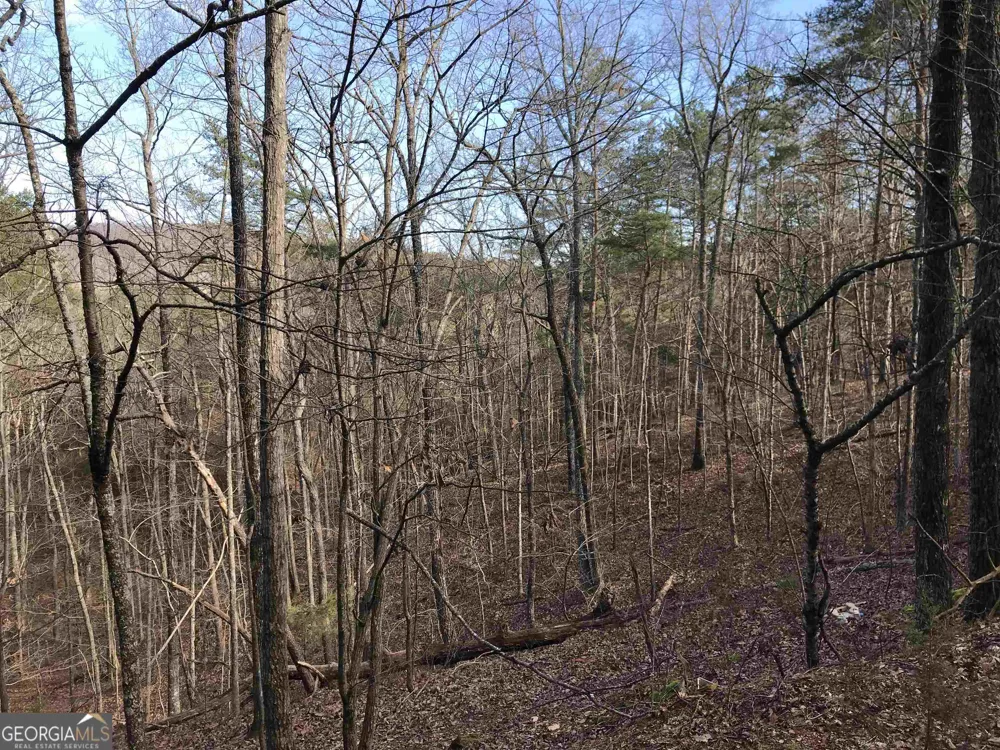 0 Liberty Church RD Ranger, GA 30734