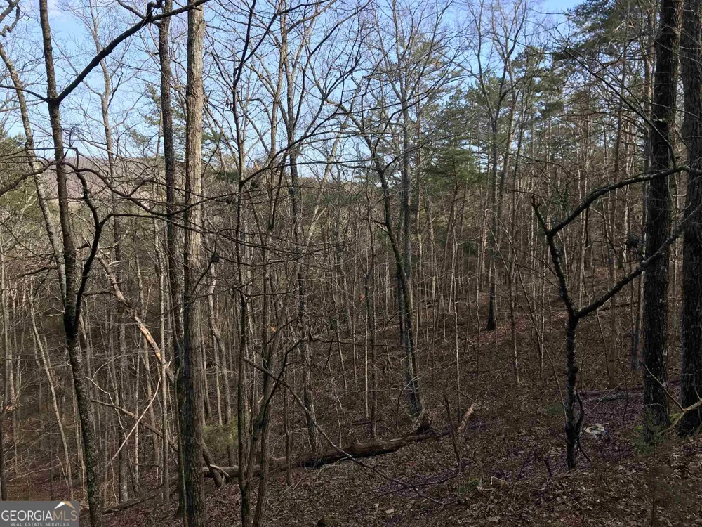 0 Liberty Church RD Ranger, GA 30734