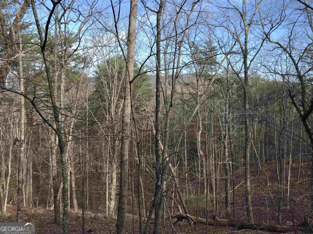 0 Liberty Church RD Ranger, GA 30734