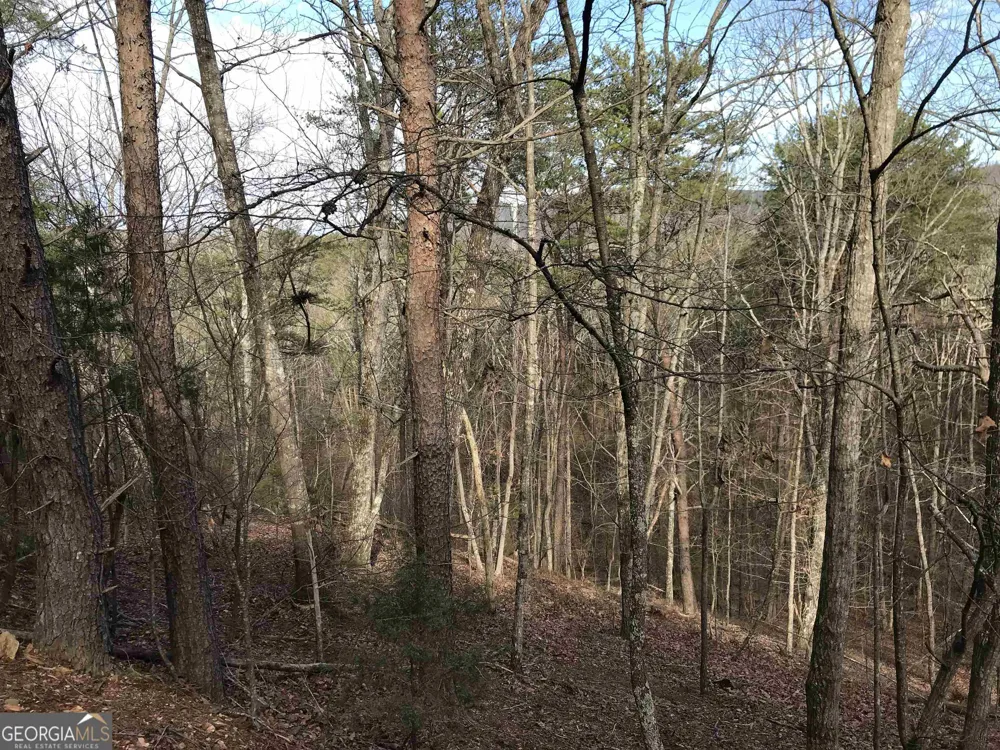 0 Liberty Church RD Ranger, GA 30734