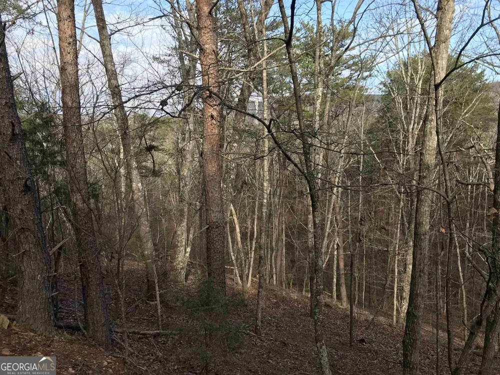 0 Liberty Church RD Ranger, GA 30734