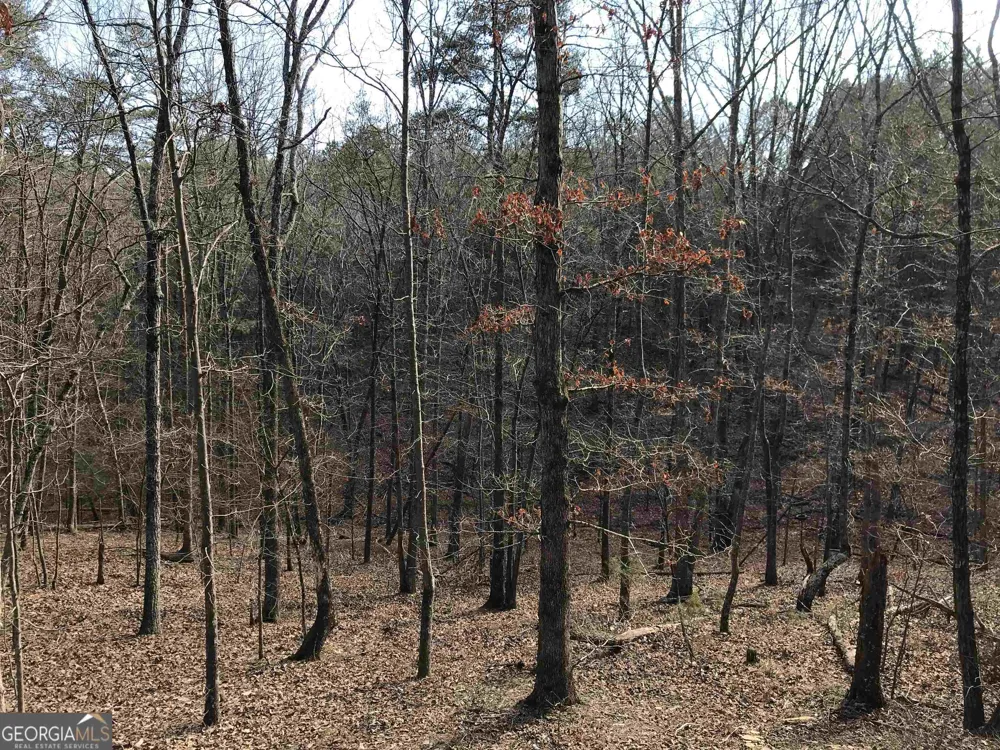 0 Liberty Church RD Ranger, GA 30734
