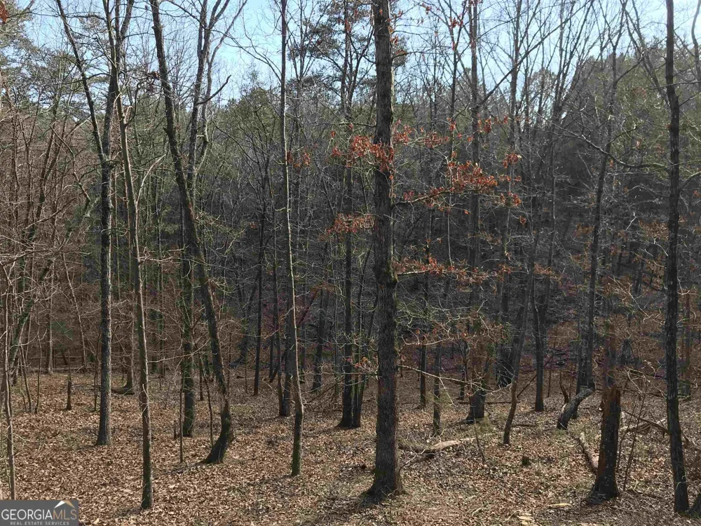 0 Liberty Church RD Ranger, GA 30734