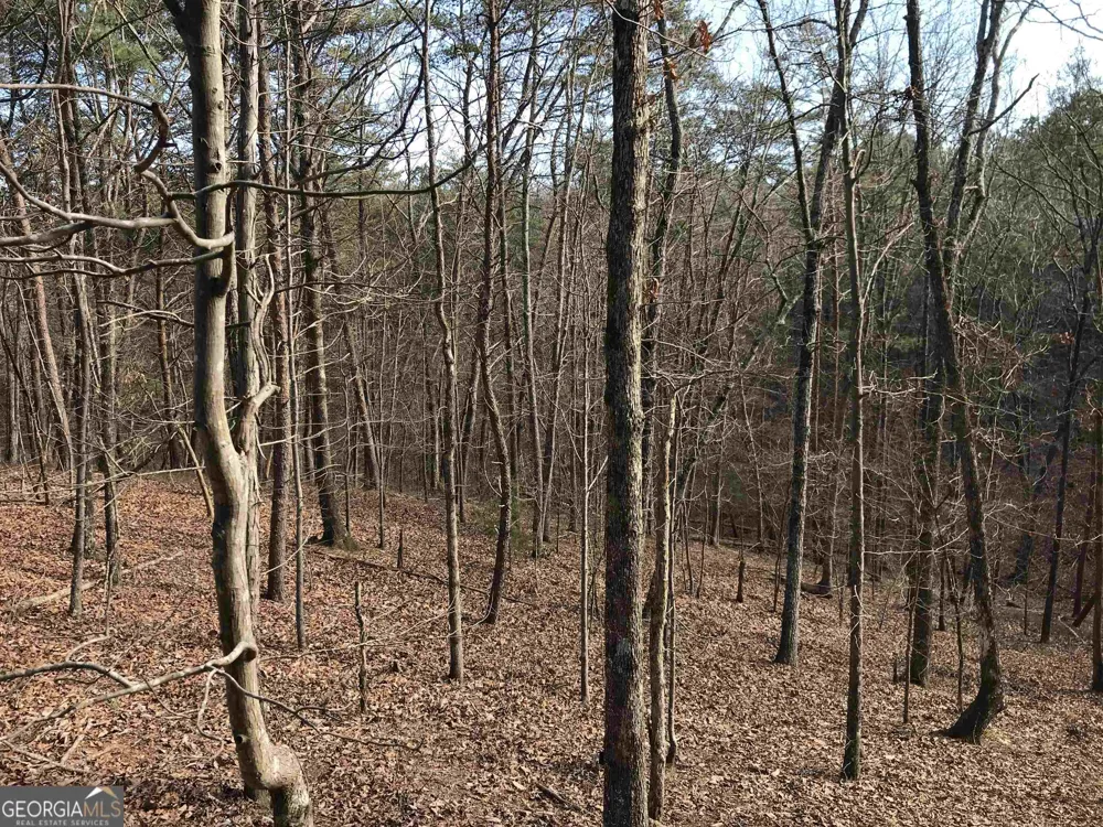 0 Liberty Church RD Ranger, GA 30734