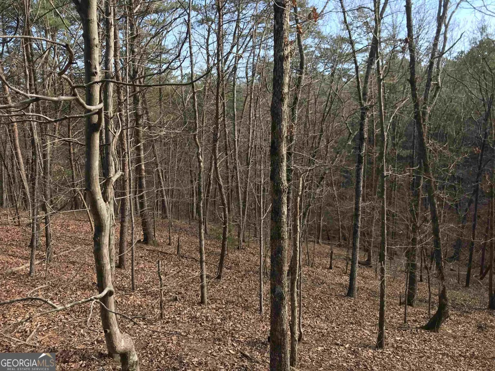 0 Liberty Church RD Ranger, GA 30734