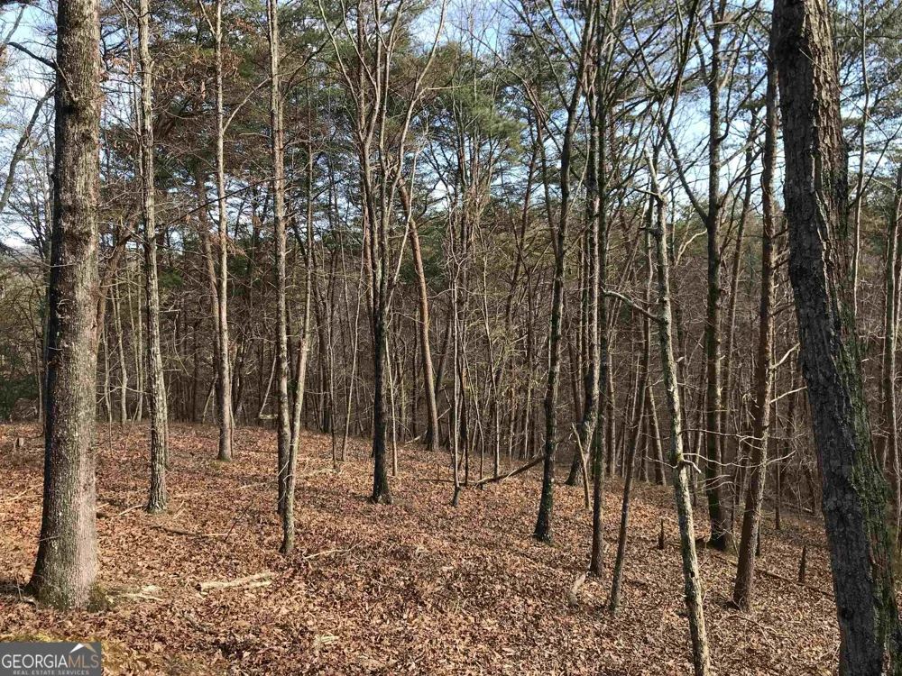 0 Liberty Church RD Ranger, GA 30734