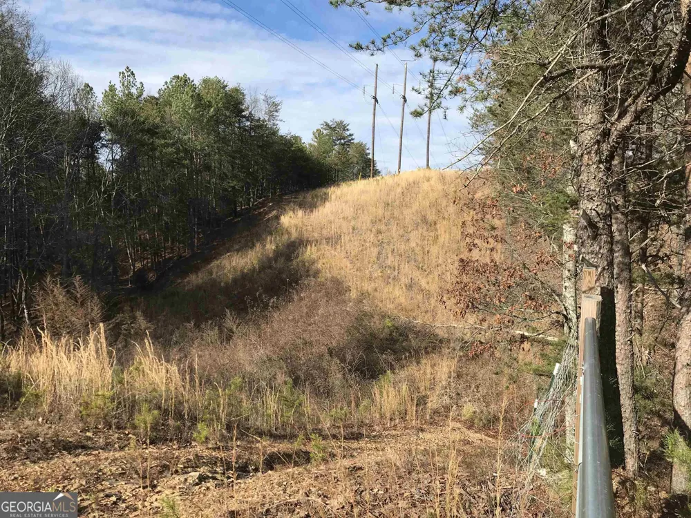 0 Liberty Church RD Ranger, GA 30734
