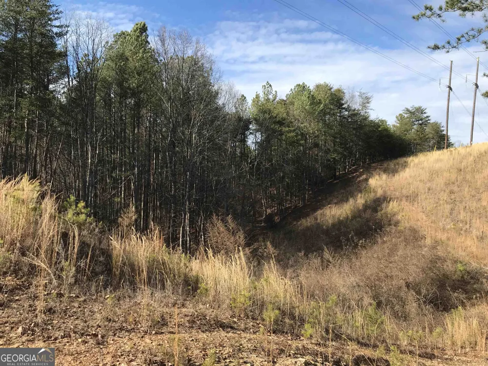 0 Liberty Church RD Ranger, GA 30734