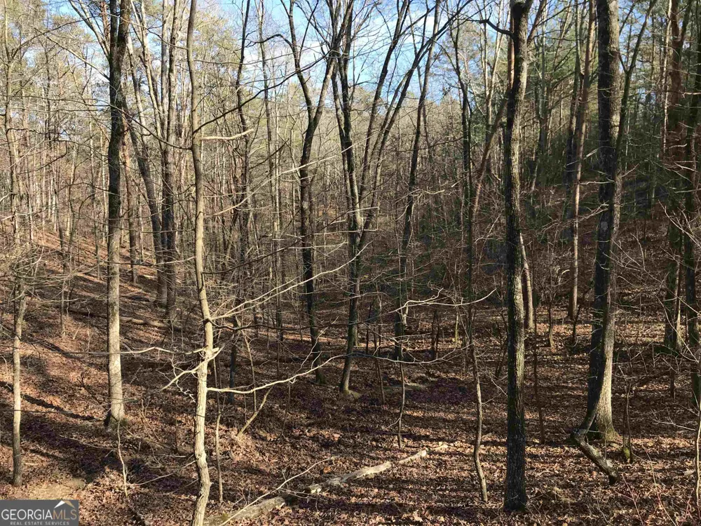 0 Liberty Church RD Ranger, GA 30734