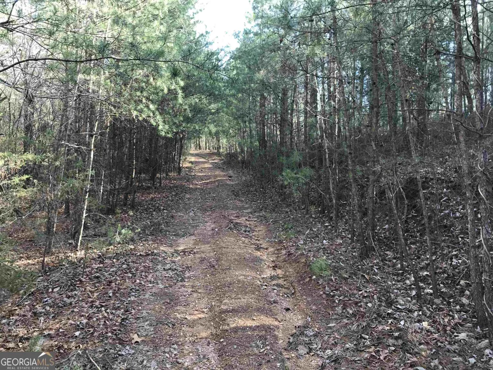 0 Liberty Church RD Ranger, GA 30734