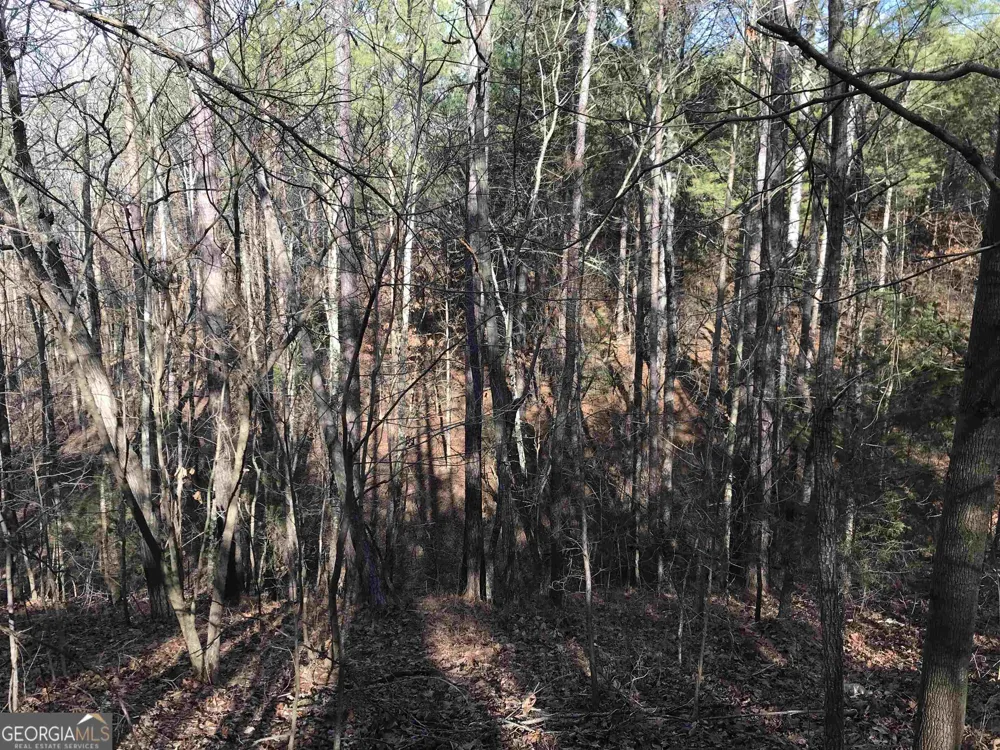 0 Liberty Church RD Ranger, GA 30734
