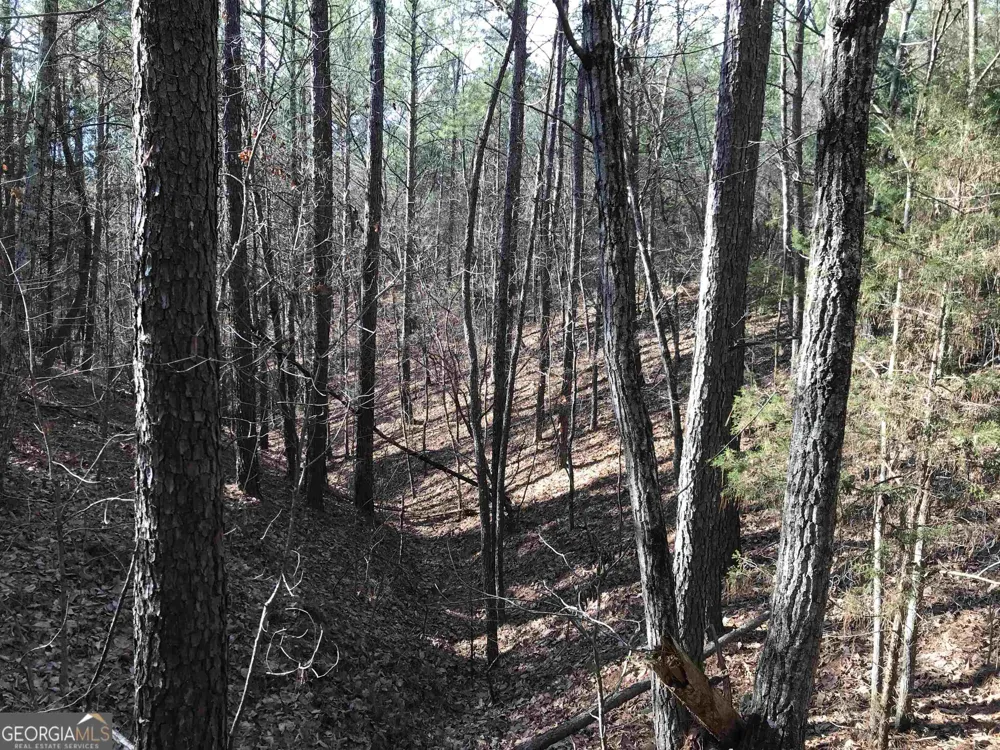 0 Liberty Church RD Ranger, GA 30734