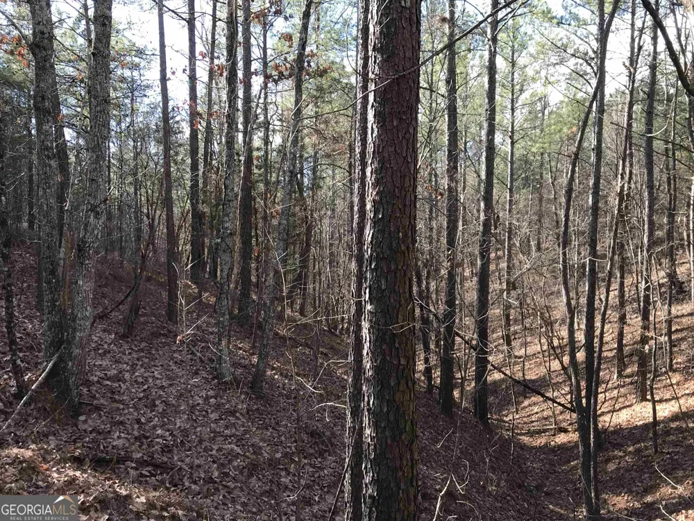 0 Liberty Church RD Ranger, GA 30734