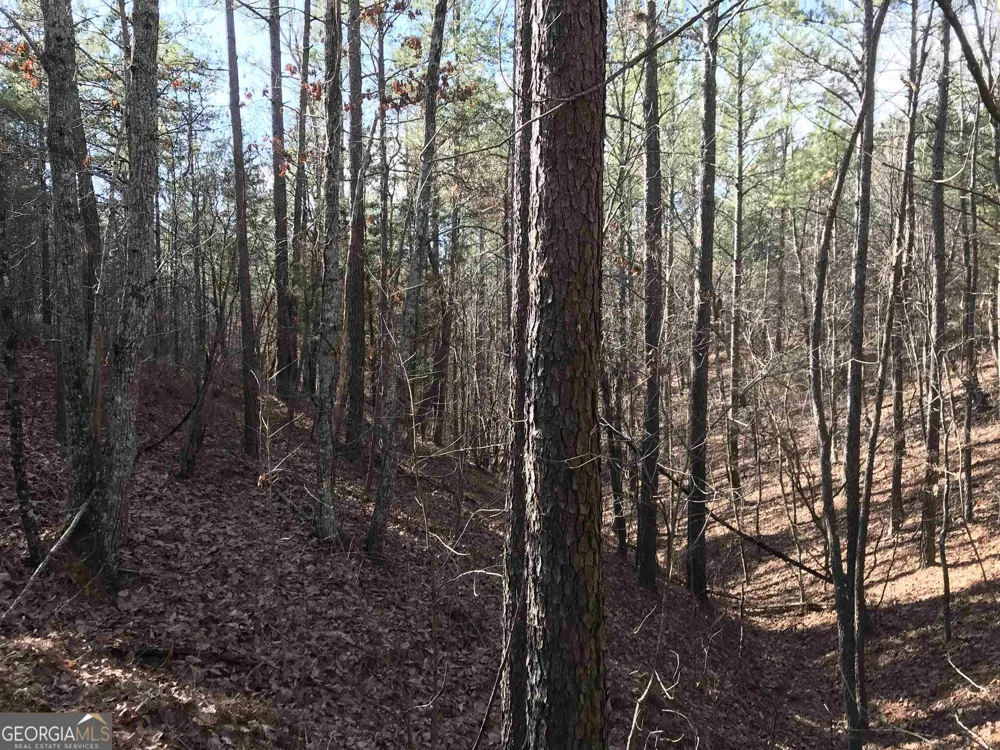 0 Liberty Church RD Ranger, GA 30734