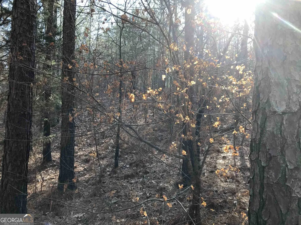 0 Liberty Church RD Ranger, GA 30734