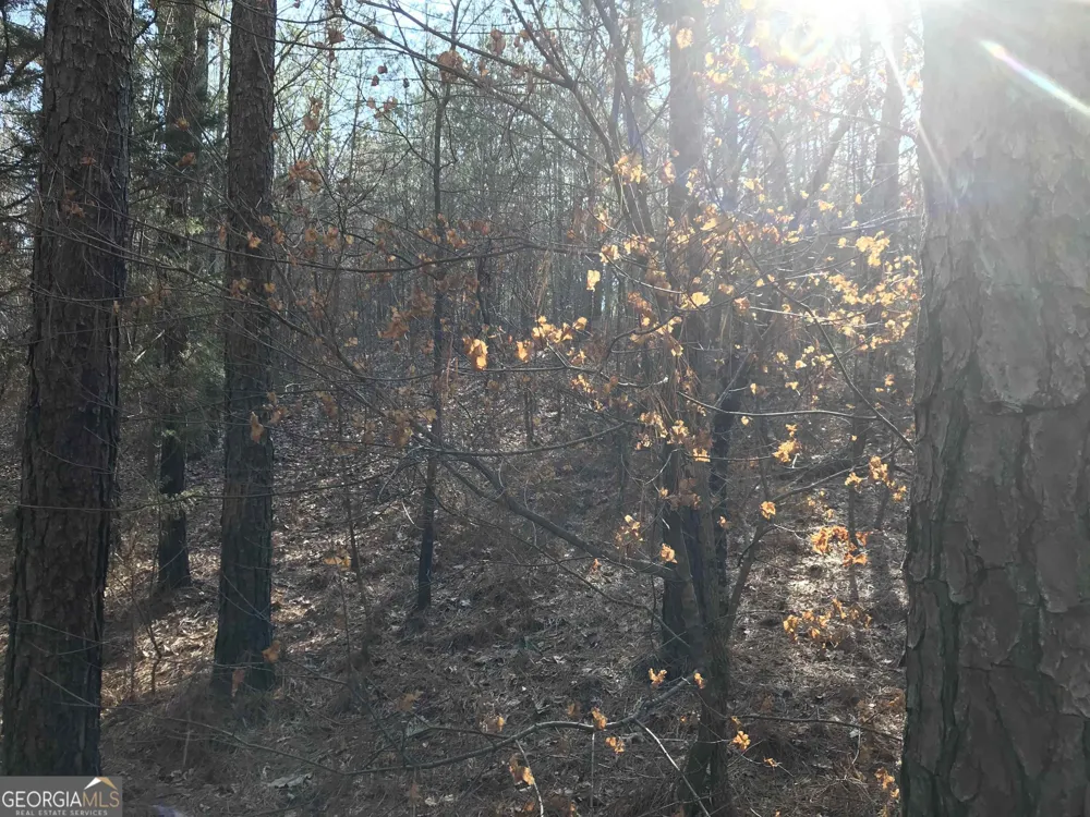 0 Liberty Church RD Ranger, GA 30734